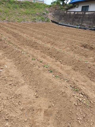 소금님의 자유주제 · 자유게시판 작성글 사진