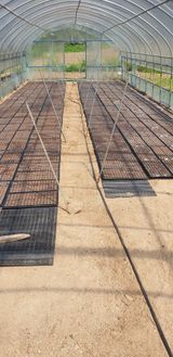 팜모닝 들깨·영농일지 게시글 이미지