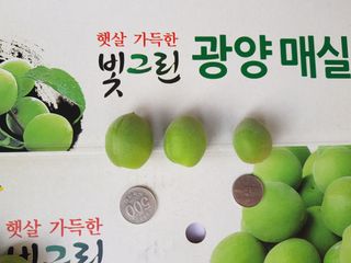 광양밤실매실농장님의 작성글 사진