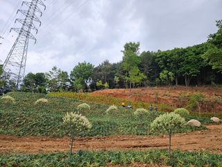 이은화님의 기타작물 · 영농일지 작성글 사진