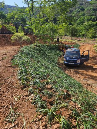 이은화님의 기타작물 · 영농일지 작성글 사진