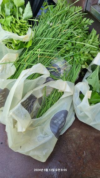 꿈사랑님의 딸기 · 영농일지 작성글 사진