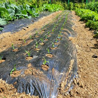 이창화님의 자유주제 · 자유게시판 작성글 사진