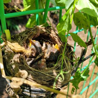 이창화님의 자유주제 · 자유게시판 작성글 사진