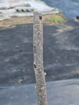 팜모닝 자유주제·자유게시판 게시글 이미지