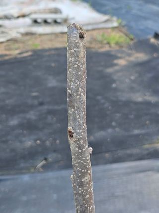 반도님의 자유주제 · 자유게시판 작성글 사진