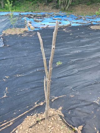 반도님의 자유주제 · 자유게시판 작성글 사진