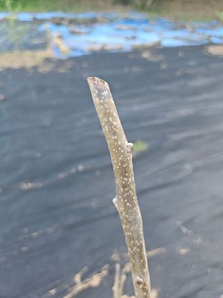 반도님의 자유주제 · 자유게시판 작성글 사진