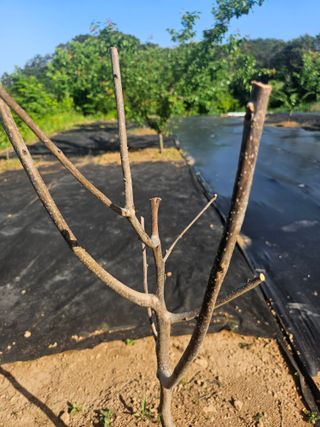 반도님의 자유주제 · 자유게시판 작성글 사진