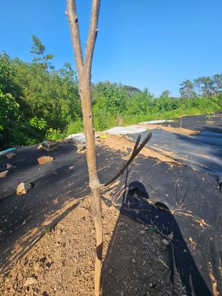 반도님의 자유주제 · 자유게시판 작성글 사진