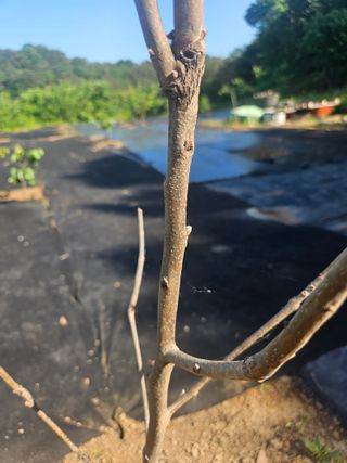 반도님의 자유주제 · 자유게시판 작성글 사진