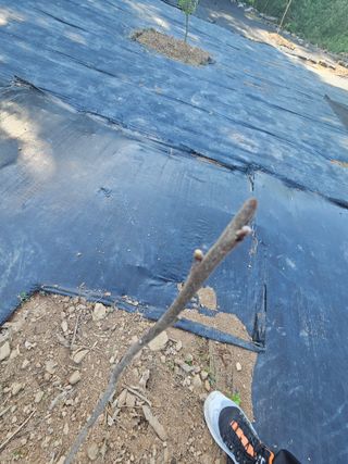 반도님의 자유주제 · 자유게시판 작성글 사진