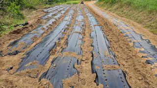 이영춘님의 자유주제 · 자유게시판 작성글 사진