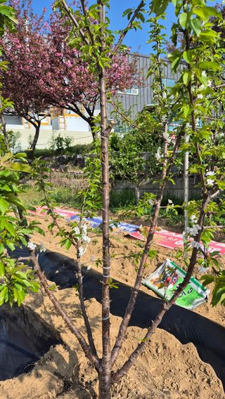 노영남님의 자유주제 · 자유게시판 작성글 사진