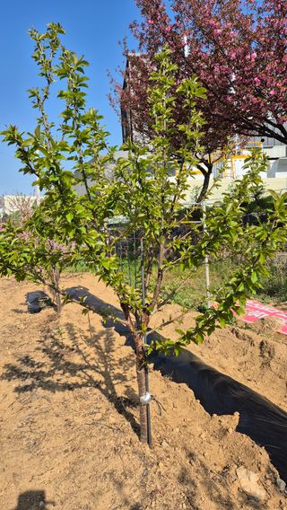 노영남님의 자유주제 · 자유게시판 작성글 사진