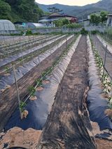 팜모닝 팜이웃과 출근/퇴근 같이해요!·참여글 게시글 이미지