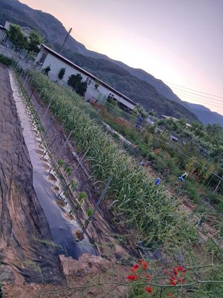 이희자님의 팜이웃과 출근/퇴근 같이해요! · 참여글 작성글 사진