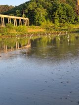 팜모닝 자유주제·자유게시판 게시글 이미지