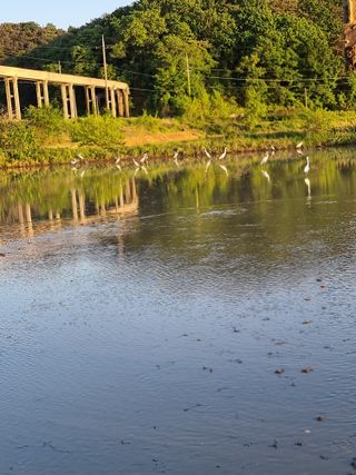 이병남님의 자유주제 · 자유게시판 작성글 사진