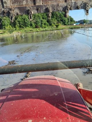 이병남님의 자유주제 · 자유게시판 작성글 사진
