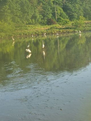 이병남님의 자유주제 · 자유게시판 작성글 사진