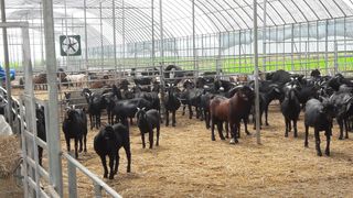 이병남님의 자유주제 · 자유게시판 작성글 사진