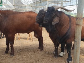 이병남님의 자유주제 · 자유게시판 작성글 사진