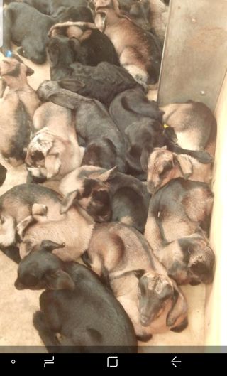 이병남님의 자유주제 · 자유게시판 작성글 사진