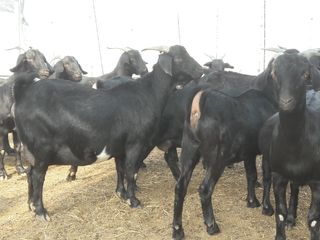 이병남님의 자유주제 · 자유게시판 작성글 사진