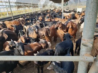 이병남님의 자유주제 · 자유게시판 작성글 사진