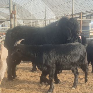 이병남님의 자유주제 · 자유게시판 작성글 사진