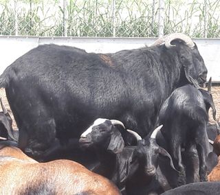 이병남님의 자유주제 · 자유게시판 작성글 사진