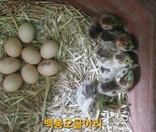 김순필수방님의 자유주제 · 자유게시판 작성글 사진