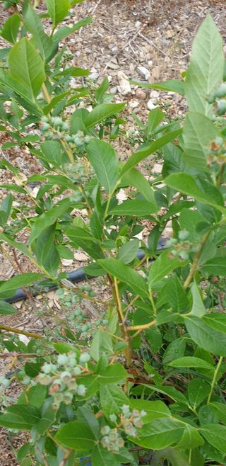 김화순님의 자유주제 · 자유게시판 작성글 사진