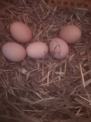 알 수 없음님의 자유주제 · 자유게시판 작성글 사진