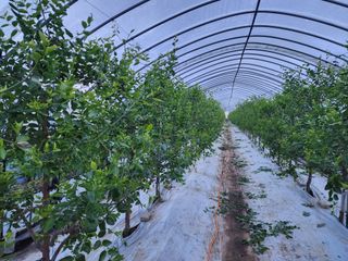 대추 9544님의 자유주제 · 자유게시판 작성글 사진