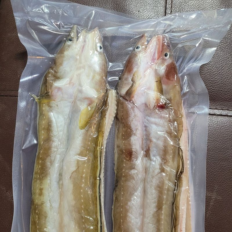 김진국님의 장터 판매 상품 [완도 선장님이 직접 잡아손질한 완도 자연산 특대 장어(손질후 1kg)] 첨부 사진