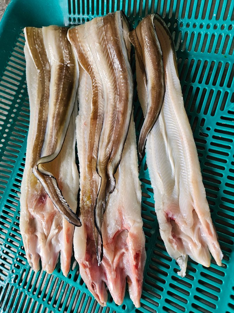 장터 상품 [완도 선장님이 직접 잡아손질한 완도 자연산 특대 장어(손질후 1kg)] 썸네일