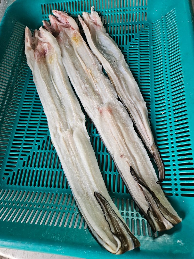 김진국님의 장터 판매 상품 [완도 선장님이 직접 잡아손질한 완도 자연산 특대 장어(손질후 1kg)] 첨부 사진