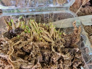 이영호님의 자유주제 · 자유게시판 작성글 사진