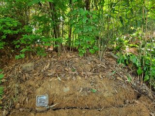 이영호님의 자유주제 · 자유게시판 작성글 사진