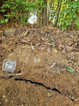 이영호님의 자유주제 · 자유게시판 작성글 사진