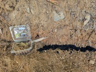 이영호님의 자유주제 · 자유게시판 작성글 사진