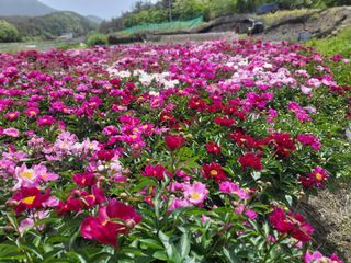 조상희님의 자유주제 · 자유게시판 작성글 사진