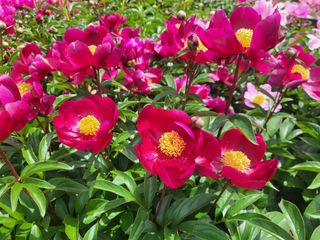 조상희님의 자유주제 · 자유게시판 작성글 사진