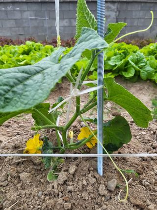 조상희님의 자유주제 · 자유게시판 작성글 사진