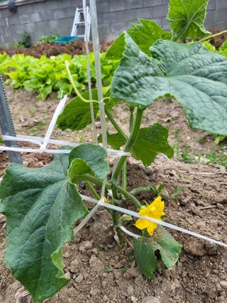 조상희님의 자유주제 · 자유게시판 작성글 사진