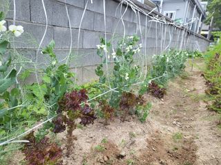 조상희님의 자유주제 · 자유게시판 작성글 사진