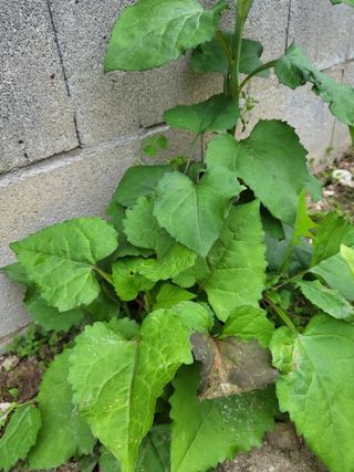 조상희님의 자유주제 · 자유게시판 작성글 사진