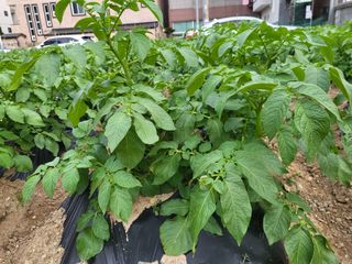 조상희님의 자유주제 · 자유게시판 작성글 사진